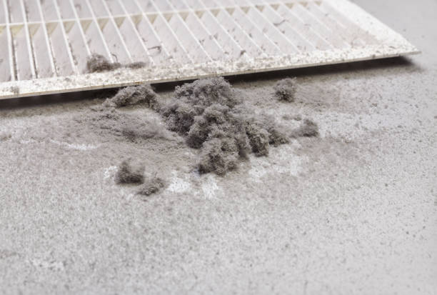 Best Best Air Duct Cleaning Company  in Deephaven, MN