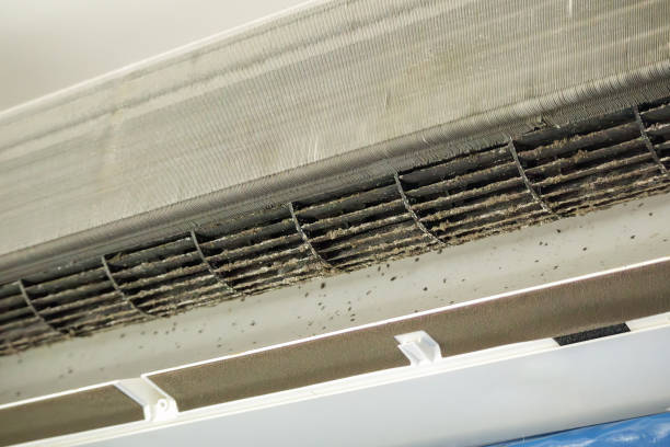 Best Air Duct Cleaning Near Me  in Deephaven, MN