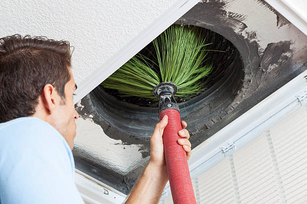 Best Home Air Vent Cleaning  in Deephaven, MN