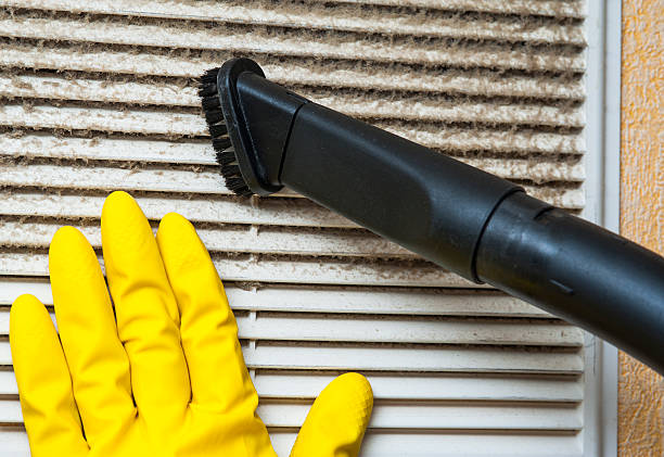 Best Air Duct Cleaning Company Near Me  in Deephaven, MN